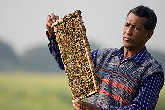 bạch thủ lô tô