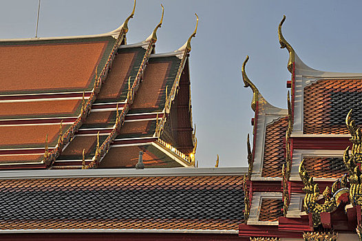soi cau lo bach thu mb