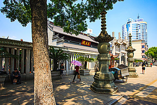 soi bach thu lo hom nay